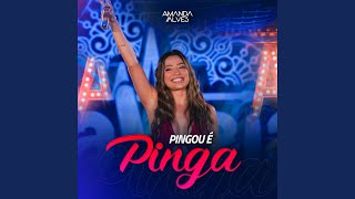 Pingou É Pinga Ao Vivo [upl. by Mcnally]