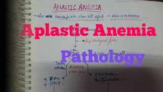 Aplastic anemia Pathology [upl. by Fondea]