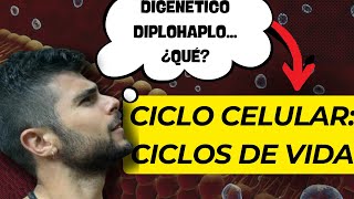 EL CICLO CELULAR LOS CICLOS BIOLÓGICOS [upl. by Ajaj]