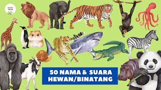 Belajar Mengenal Nama Hewan  Binatang dan Suaranya  Anak Paud TK Balita  Bubuyaya Official [upl. by Eimile270]