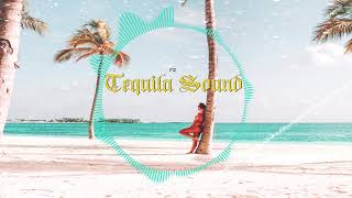 Tequila Sound  FZ Vibes Audio [upl. by Kciredorb217]