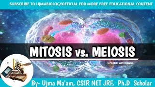 MITOSIS vs Meiosis  what is mitosis and meiosis  difference between Meiosis and mitosis [upl. by Qifar225]