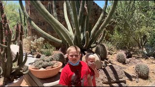 ArizonaSonora Desert Museum [upl. by Mellar874]