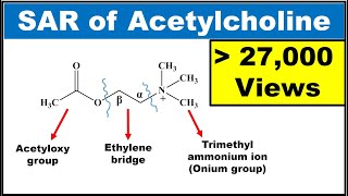 SAR of Acetylcholine SAR of Parasympathomimetics Explained with structures [upl. by Ariaes]