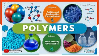 Polymers Unleashed Discover the Science Behind Everyday Materials [upl. by Homerus]