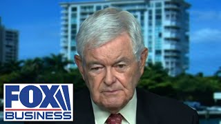 NOTHING HAS CHANGED Gingrich warns of Kamala Harris flipflopping on key issues [upl. by Beckett654]