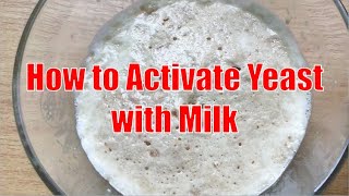 How to Activate Yeast with Milk [upl. by Edlyn]