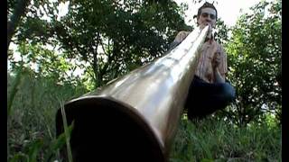 DIDGERIDOO  oboreal play on didgelement  tree to flood [upl. by Juetta]