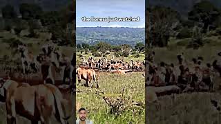 Best Motivational Scene In thelionking Movie  The Lion King Movie Clip  viralshortsshortsvideo [upl. by Nit]