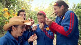 Imagination Movers  Dance Kung Fu Official Video [upl. by Ahtebbat]