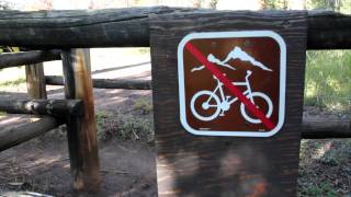 Henrys Fork trail  High Uintas Wildernss Utah [upl. by Anaoy333]