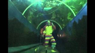 Rectal Smegmas Bobo The Clown offical video [upl. by Ibbed]