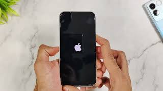 iPhone 13 amp 14 blackwhite screen iOS 17 wont turn on problem green line  fix now  Reiboot [upl. by Vey946]