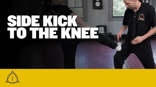 Side Kick to the Knee Technique  Using a Side Kick to the Knee for SelfDefense [upl. by Hak341]