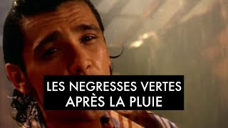 Les Négresses Vertes  Après La Pluie Clip Officiel [upl. by Malo]