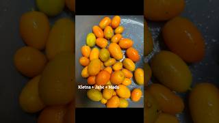 Recipe Obat batuk herbal Kietna  Jahe  Madu [upl. by Adanar331]