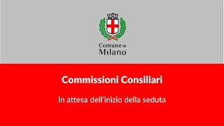 AFFARI ISTITUZIONALI  LAVORO  SERVIZI CIVICI del 12032024 [upl. by Gintz888]