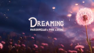 Marshmello PNK Sting  Dreaming Lyric Video [upl. by Ainotal]