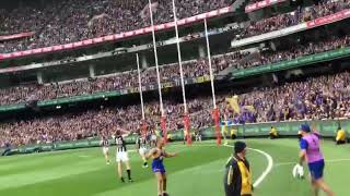 What A GOAL Dom Sheed [upl. by Yecats529]