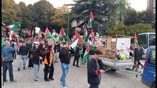 Guardando la manifestazione di Udine [upl. by Nahrut]