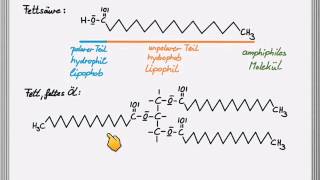 Löslichkeit von Fettsäuren und Lipiden [upl. by Dinan]