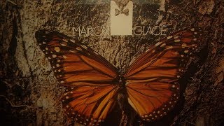 Novela Marron Glacé  1979  Trilha Sonora Internacional [upl. by Ongineb]