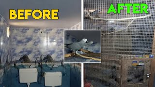 African grey breeding set up ready 👍 part 2 ❤️ [upl. by Ajet101]