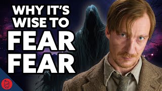 Harry’s WORST FEAR Explained  Harry Potter Film Theory [upl. by Adnohsek]