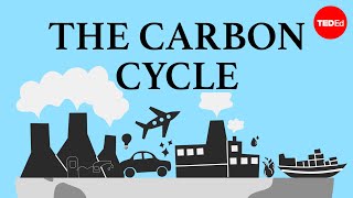 The carbon cycle  Nathaniel Manning [upl. by Geis]