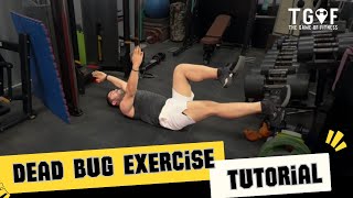 Get strong core with “Dead Bug” exercise [upl. by Leacock]