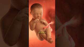 Normal delivery नही होगी अगर आपको ये संकेत दिख रहे हैं तो😨shorts amazingfacts pregnency baby [upl. by Trebo]