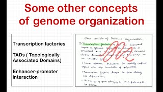 Transcription factories TADs and Enhancer promotor interaction Molecular Bio  CSIRJRF  ICARNET [upl. by Neraa]