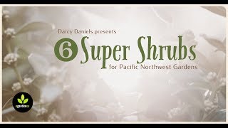 Six Super Shrubs for Pacific Northwest Gardens [upl. by Brink]