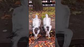 🌎❄️ MELTING TRUTH 🌡️ ICE STATUES SEND SHOCKING MESSAGE shorts facts lifehacks [upl. by Acinimod]