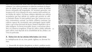 VIRUS EN JAWETZ 2 ESTRUCTURA [upl. by Carlota]