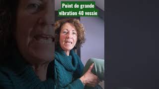 Point de grande vibration énergétique 40 Vessie derrière les genoux [upl. by Welford]