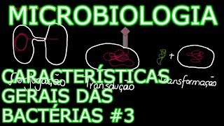 Aula Microbiologia Médica 6  Características Gerais das Bactérias 3 [upl. by Asiralc]