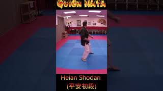 Kata Tutorial Heian Shodan karate karatekata heianshodan [upl. by Leach]