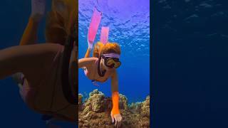 Freediver explores the reef🧜‍♀️ freediver freediving oceansounds underwater mermaidlife asmr [upl. by Parrisch815]