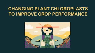 Changing plant chloroplasts to improve crop performance [upl. by Elkraps]