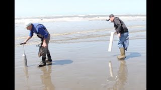 Razor Clamming on the Washington Coast [upl. by Lizzy]