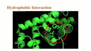 NonCovalent Interactions [upl. by Morten]