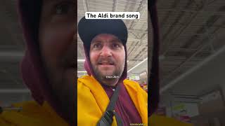 The aldi brands song aldi aldifinds aldihaul pittsburgh grocerystore groceryshopping 412 [upl. by Gainor]