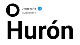 Hurón Significado En Español [upl. by Acihsay]