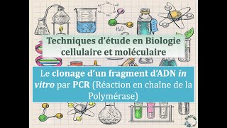 Fiches Techniques  Le clonage in vitro dun fragment dADN par PCR [upl. by Mellman]