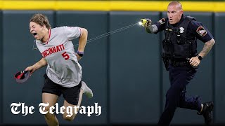 Pitchinvading baseball fan tasered by police after performing backflip [upl. by Niels858]