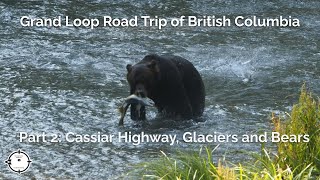 Bears Glaciers and the Cassiar Highway Grand Loop of British Columbia Part 2 [upl. by Yssej417]