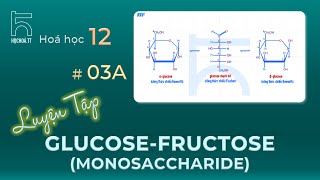 Luyện tập về Glucose amp Fructose Monosaccharides [upl. by Seadon740]