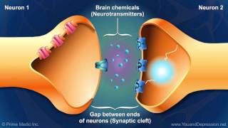 Understanding the chemistry of the brain [upl. by Steiner432]