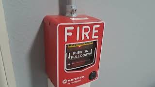 Notifier Fire Alarm System Test 28 [upl. by Denn274]